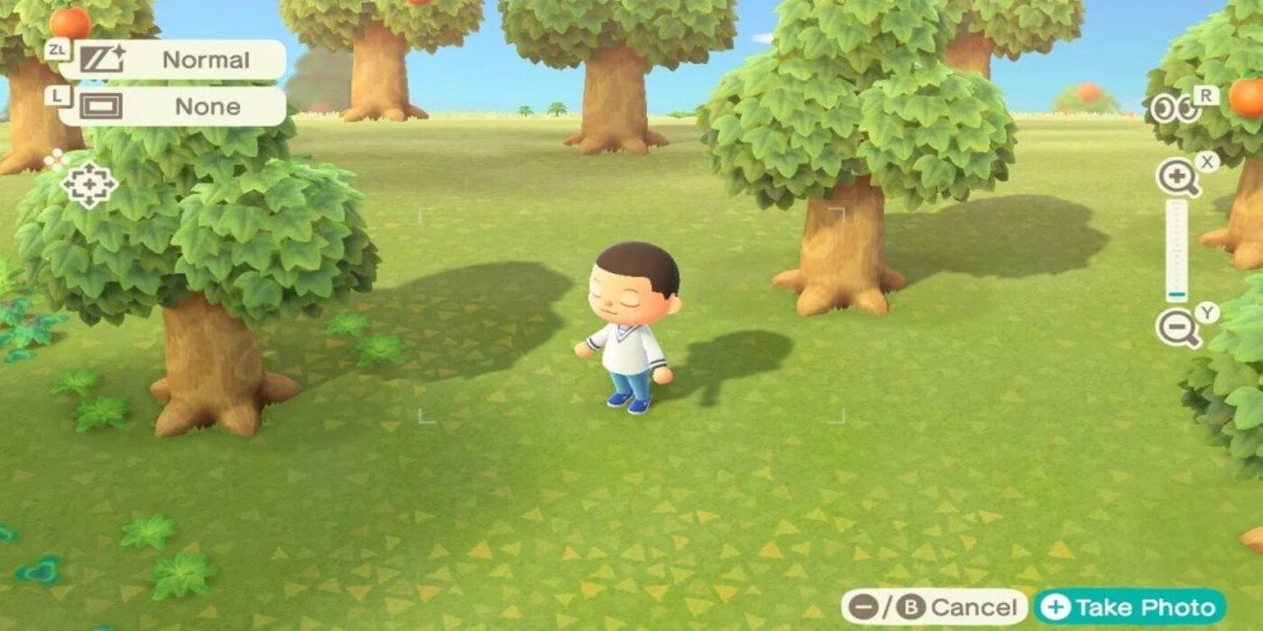 How To Find Your Animal Crossing Photos Later