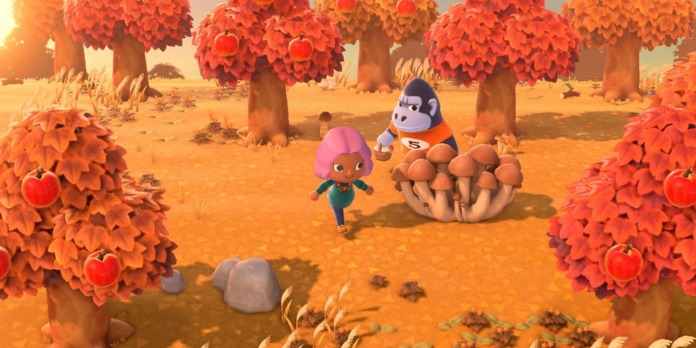 Trees with fall foliage in Animal Crossing New Horizons