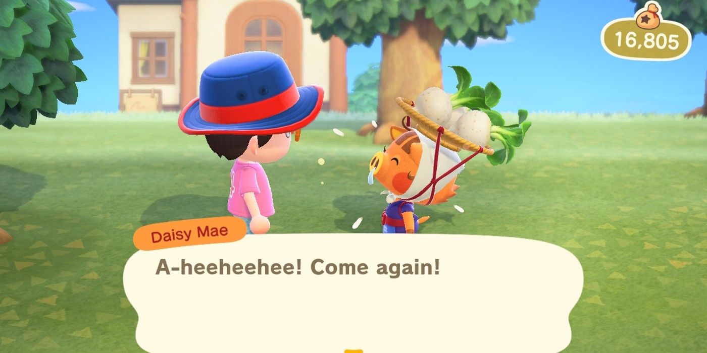 Animal Crossing comprando nabos de Daisy Mae