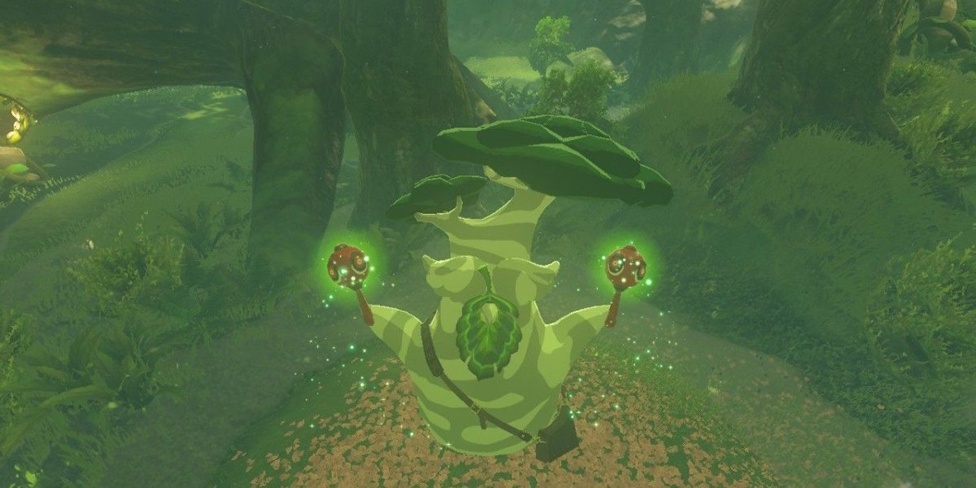 Breath of the Wild Scenes Many Players Miss