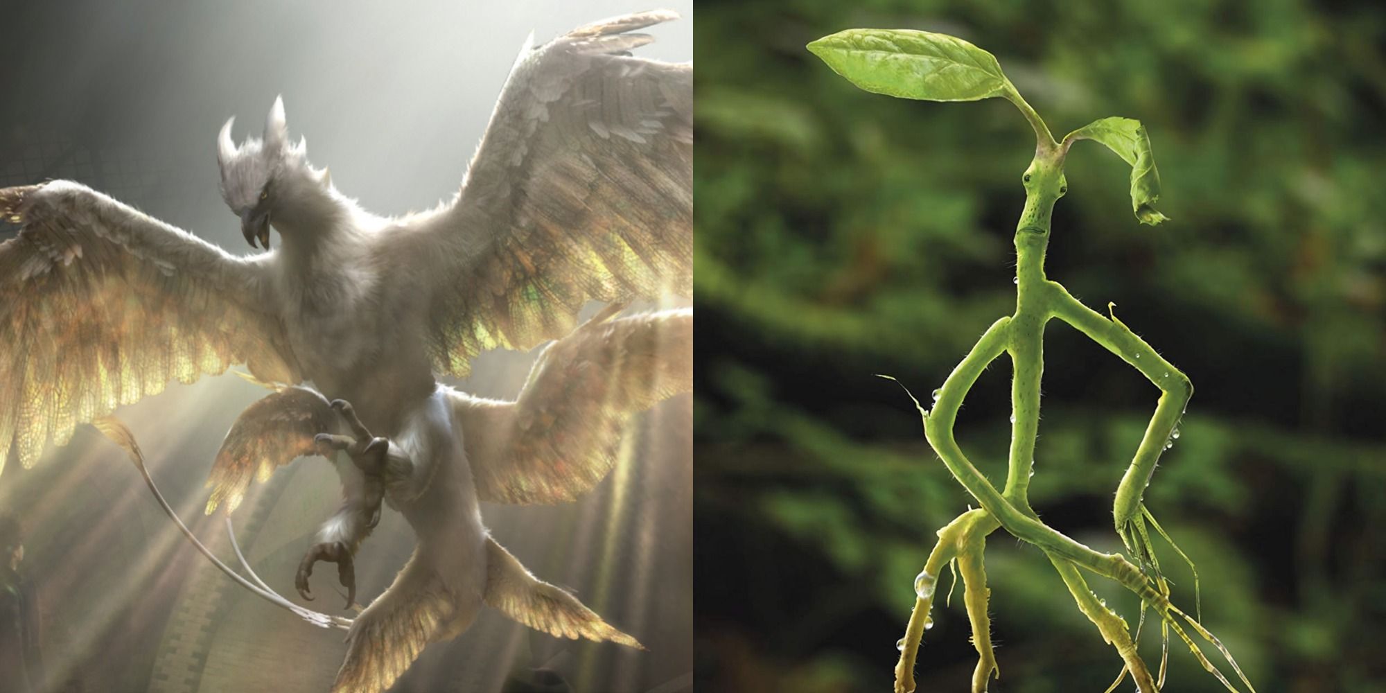 Split image: Thunderbird, Bowtruckle from the Fantastic Beasts movies