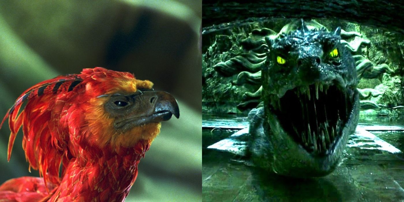 Split image: Fawkes looks at Harry/ Basilisk about to attack