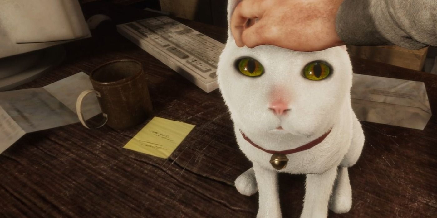 In Sound Mind Tonia The Cat Petting