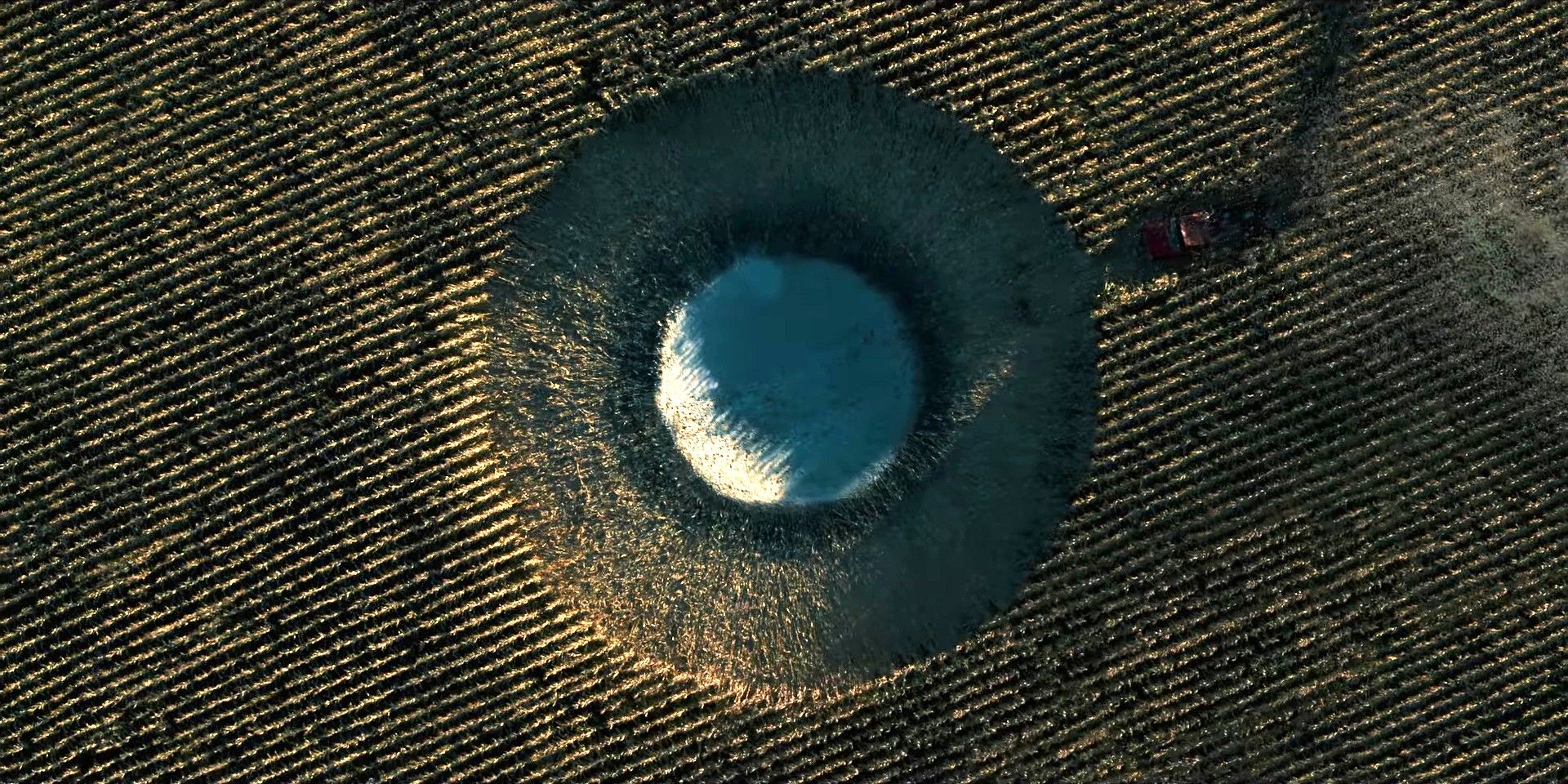 Invasion crop circle