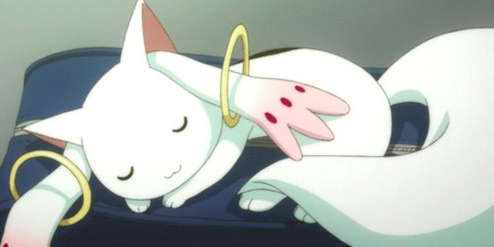 Kyubey from Madoka Magica sleeping on a blue couch