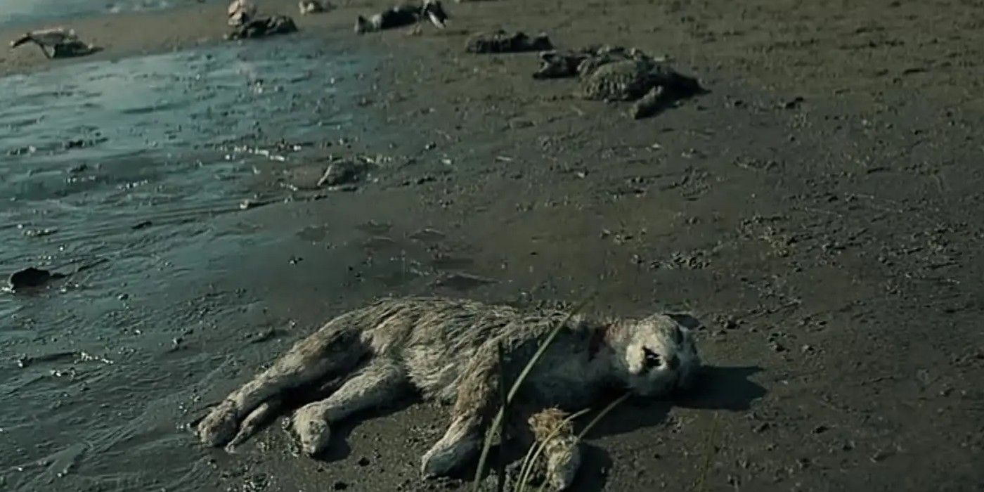 Midnight Mass What Worked & What Didn't