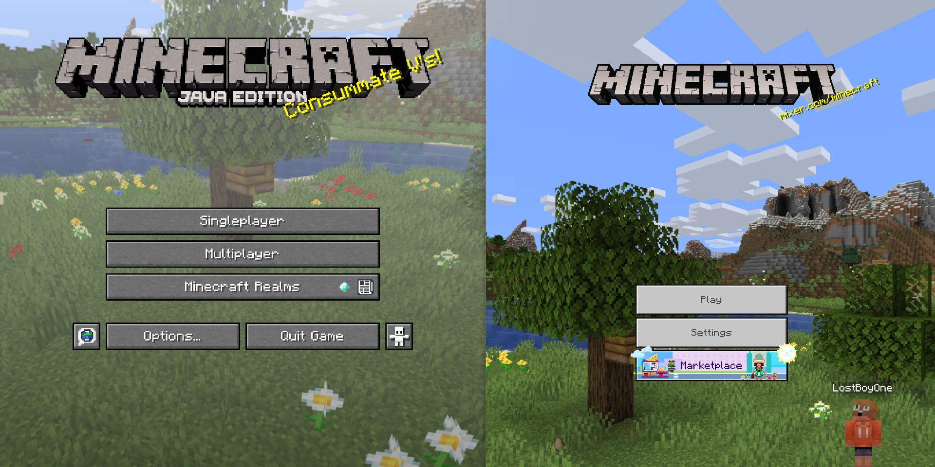 Minecraft Java' vs. 'Bedrock:' A full breakdown of Minecraft's two