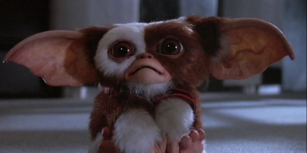 Mogwai from Gremlins looking up in a cute way