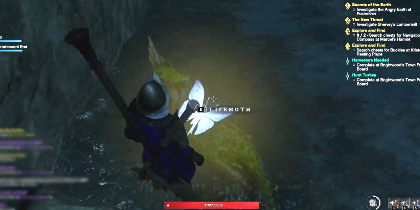 How to Find Life Motes in New World (& What They’re For)