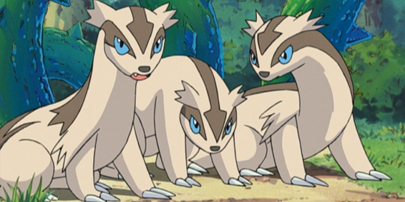 Three Linoone in the Pokémon anime