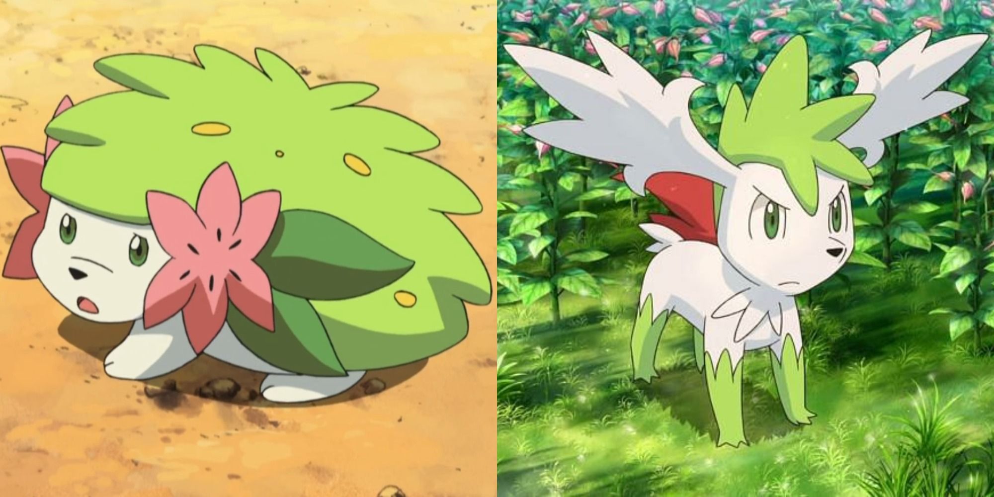 Split image showing Shaymin's Land and Sky forms in the Pokémon anime.