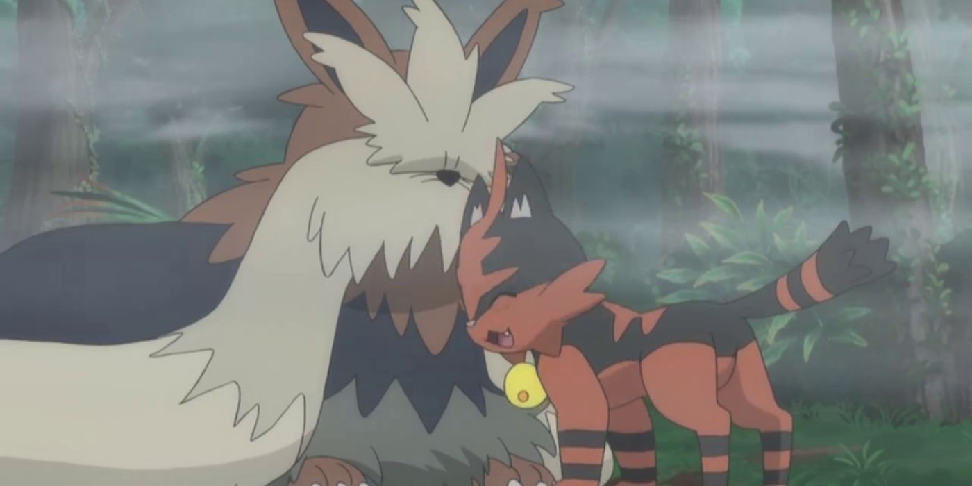 Torracat reunites with Stoutland in the mist the Pokémon anime