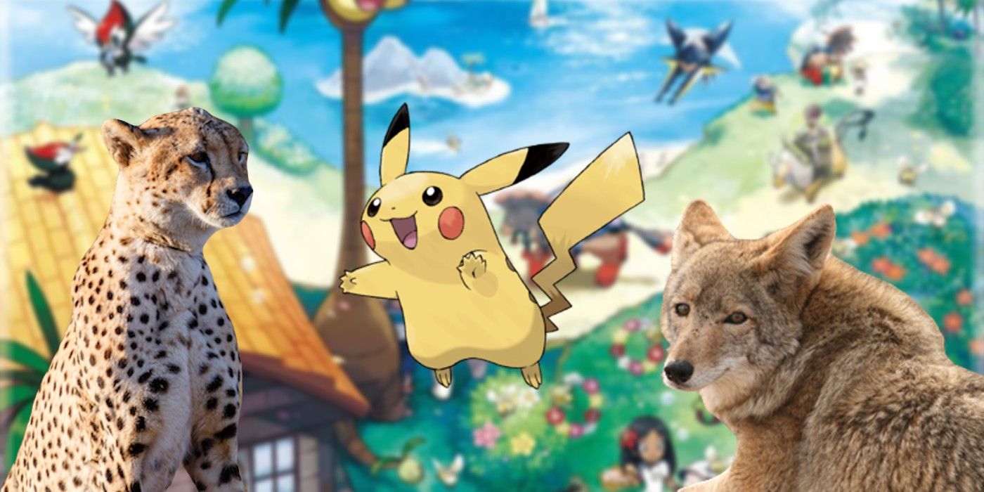 Pokémon Gen 9 What RealWorld Animals Could Inspire Starters