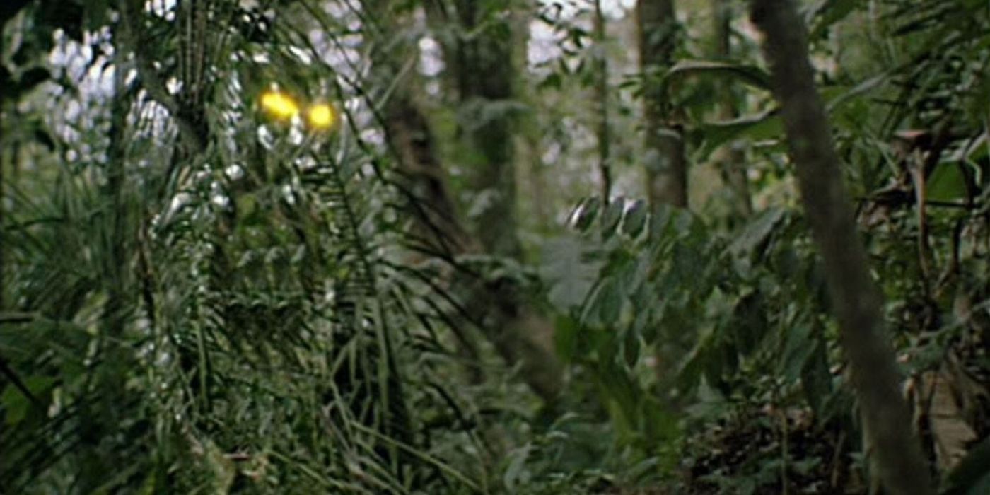 A Predator in stealth mode hiding in the jungle