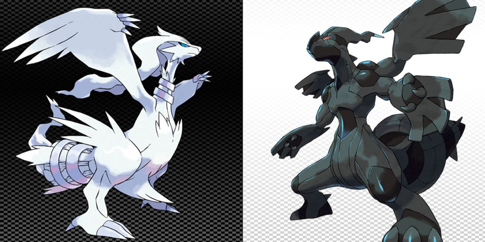 Reshiram and Zekrom glaring at each other in promotional art for Pokemon Black And White