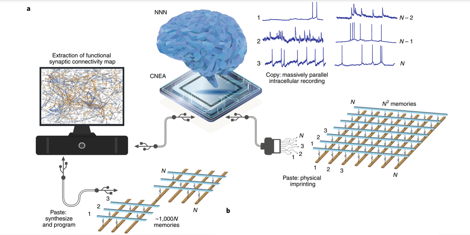 Samsung Neuromorphic Chip