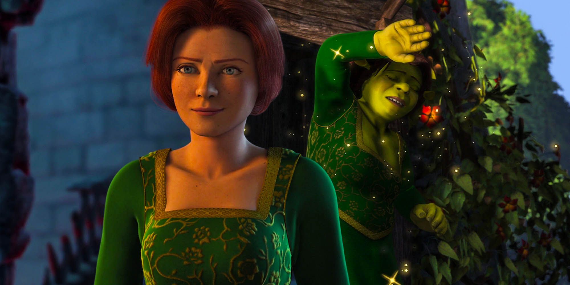Shrek saved by simple fiona fix Enchanted ugly