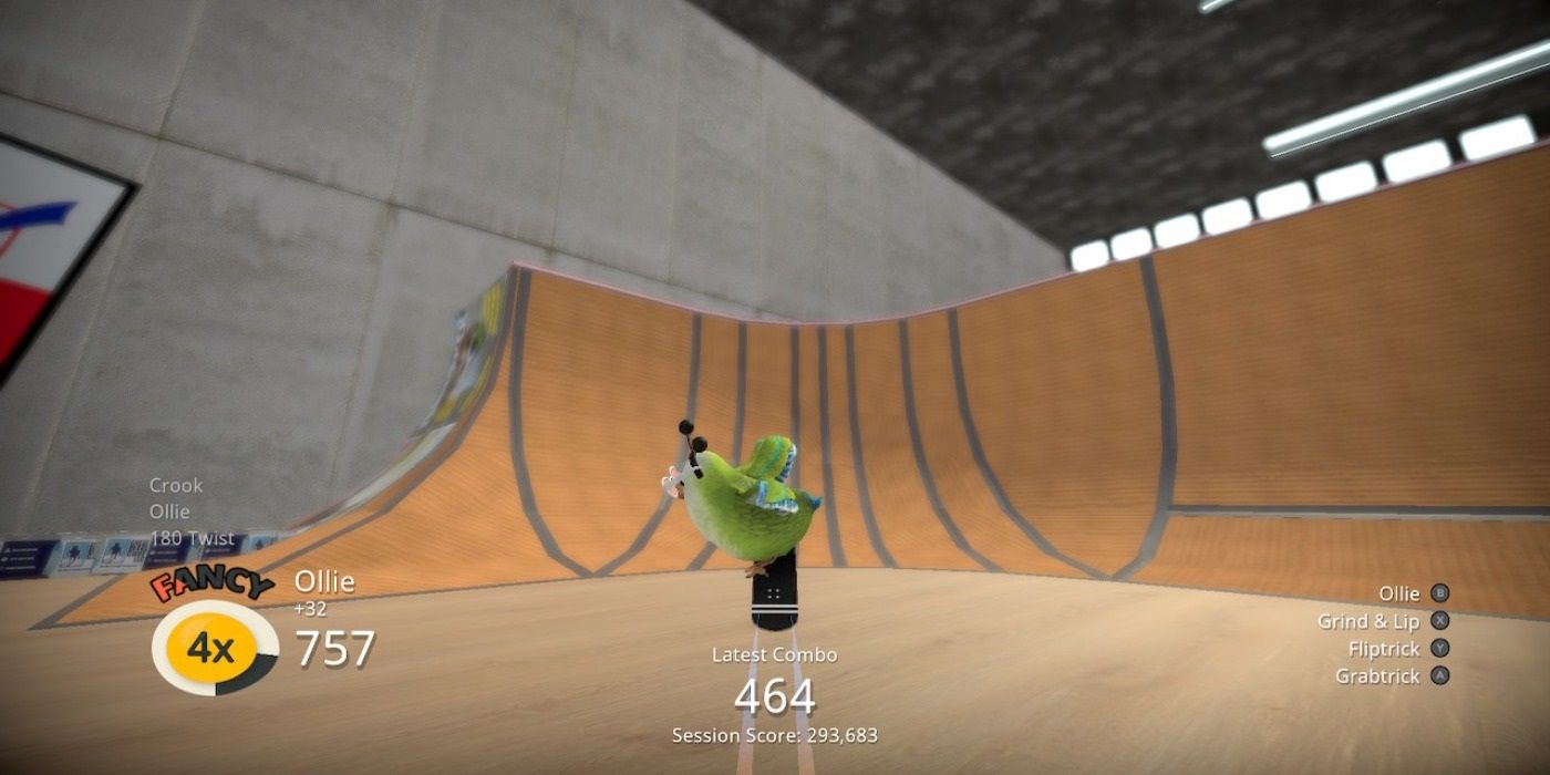SkateBird skating