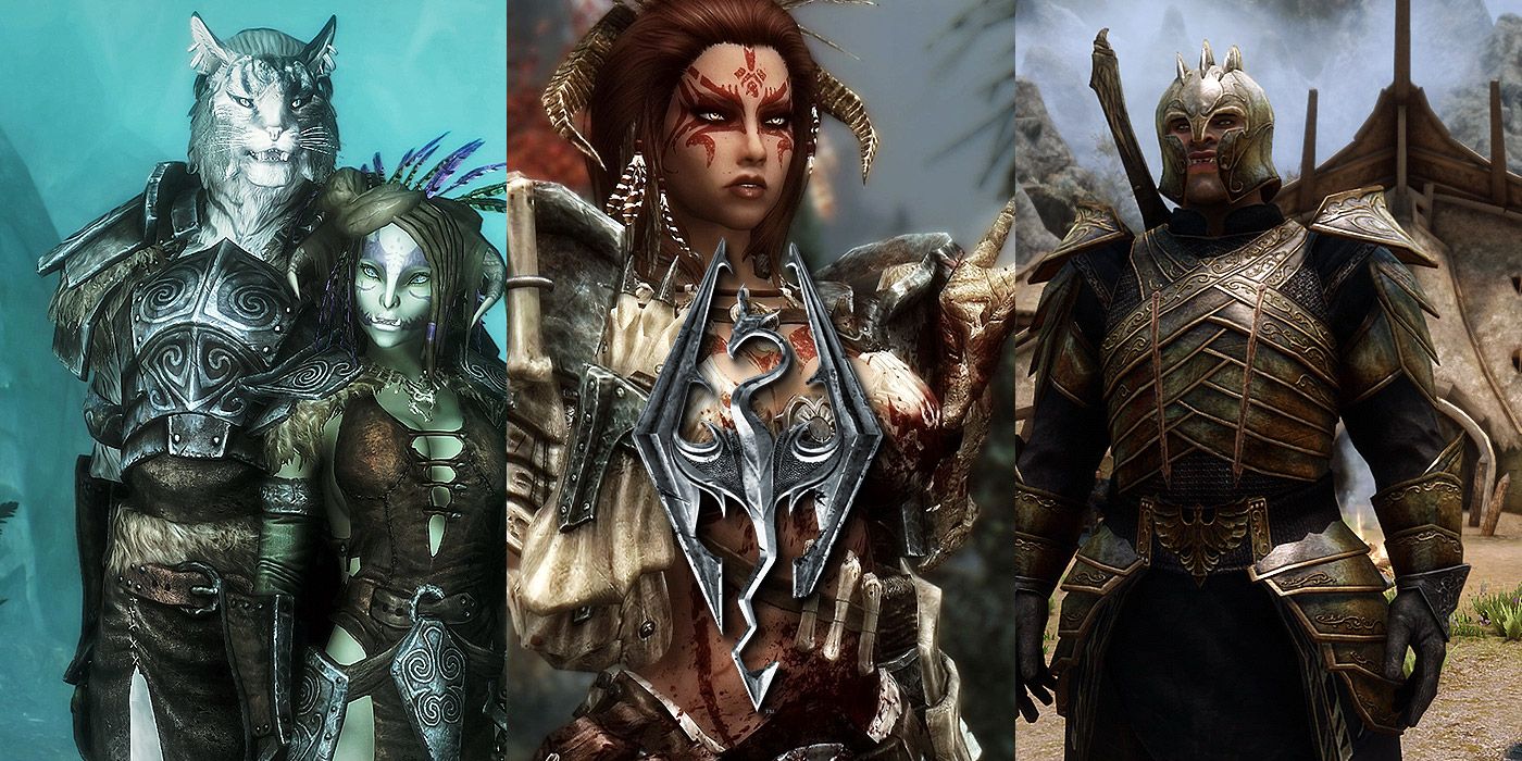 Split image of a Khajit and Orc, a female Dragonborn and a heavily armored Orc in Skyrim