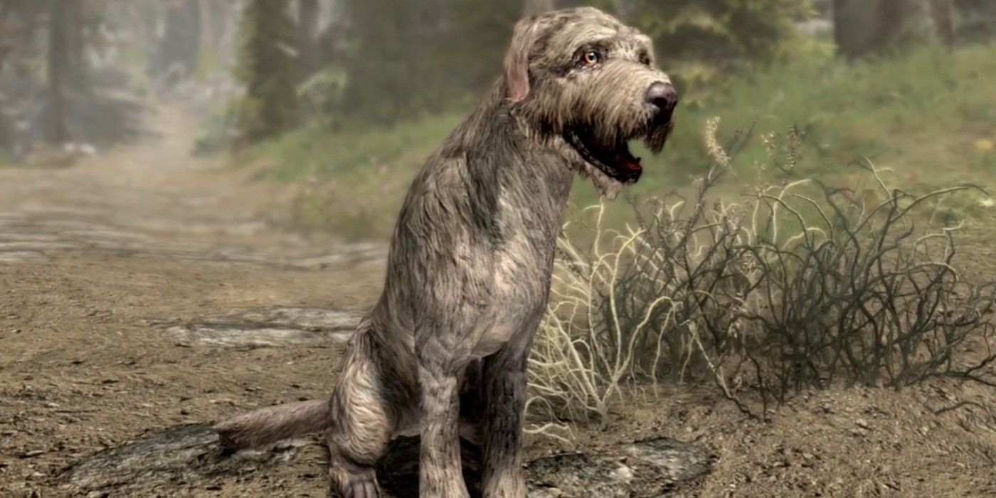 Barbas the dog sits outside in Skyrim.