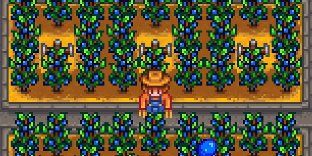 Stardew Valley 10 Most Valuable Crops To Grow, Ranked