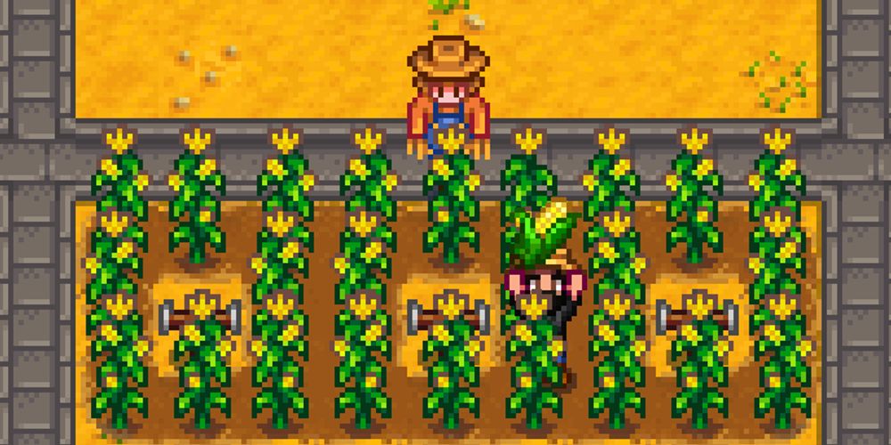 Stardew Valley: How To Finish The Fish Tank Bundles In Year One