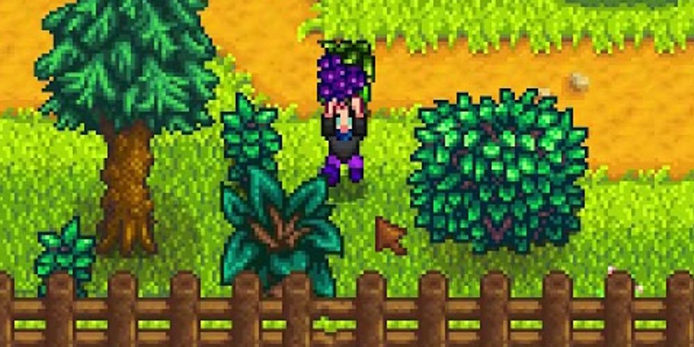 Одно обновление Stardew Valley 1.6 делает один урожай лучше остальных