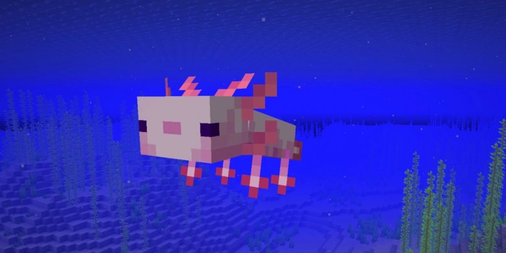 The Axolotl in Minecraft