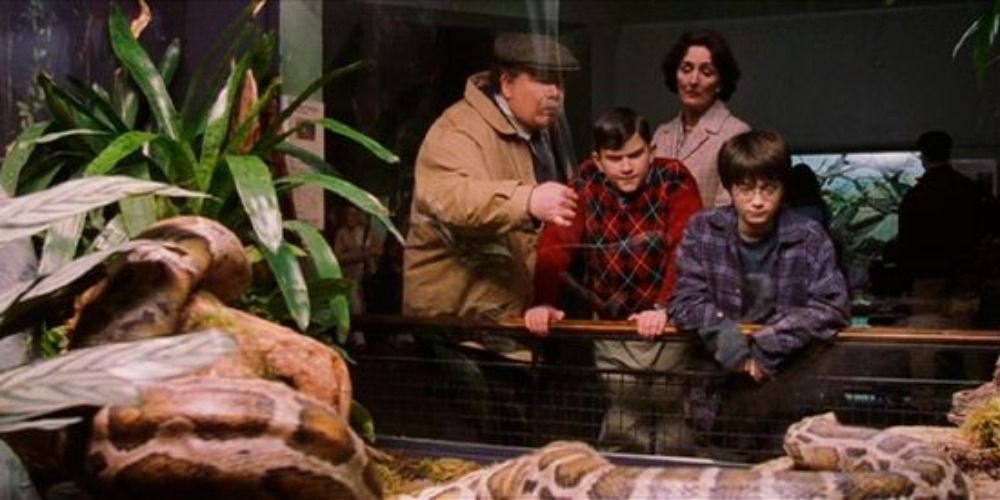 The Dursleys and Harry at the zoo looking at the snake in Harry Potter