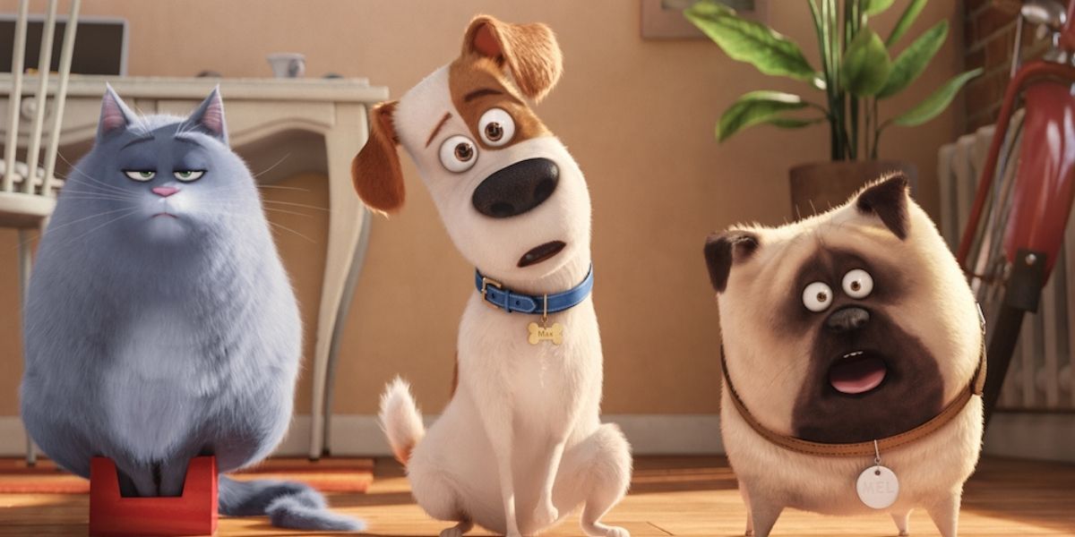 Chloe, Max, and Mel looking confused in The Secret Life Of Pets (2016)