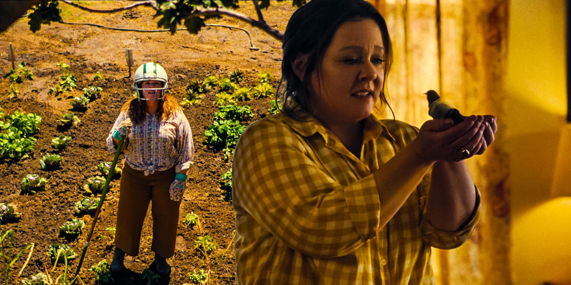 The starling ending explained Melissa McCarthy