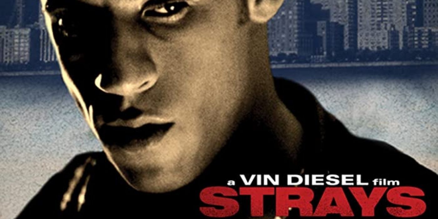 Vin Diesel on the poster of Strays