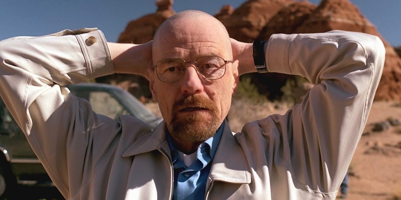 Walt is arrested in the desert in Breaking Bad