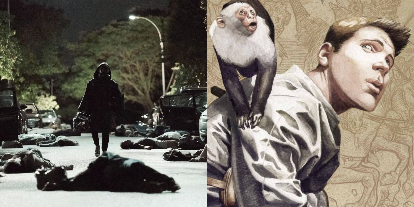 Split image of Yorick from Y The Last Man FX series and with Ampersand the monkey from Vertigo comics.