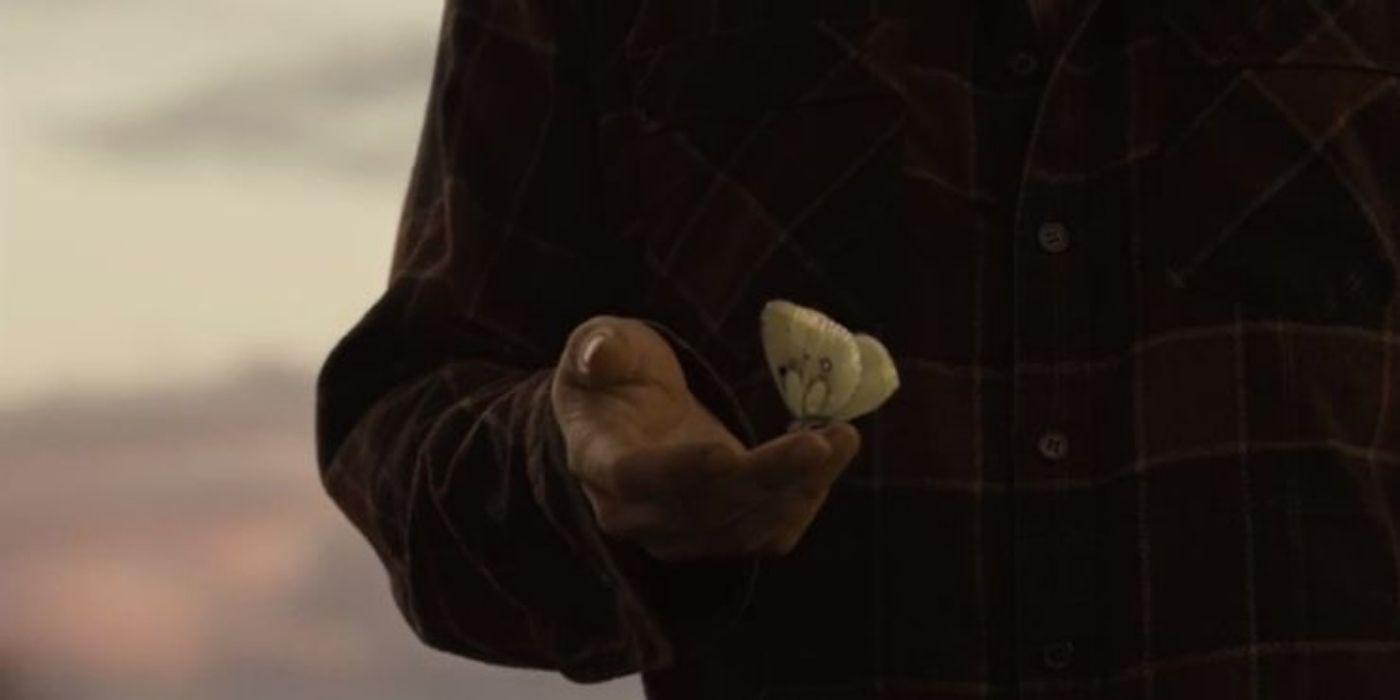 A butterfly stands on Clark&rsquo;s fingers in ZSJL