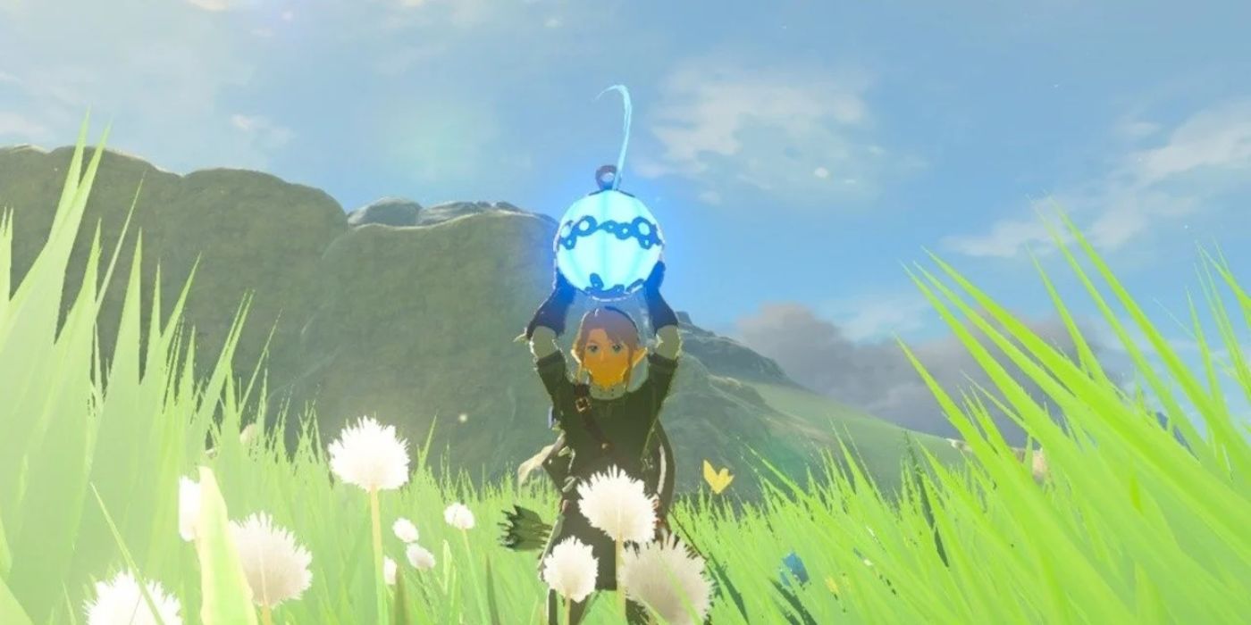 Link holds a bomb in Breath of the Wild.