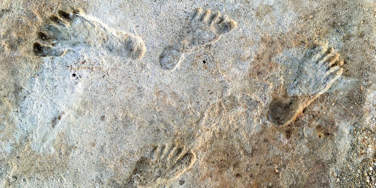 Scientists Just Found GameChanging Footprints Of Ancient Humans