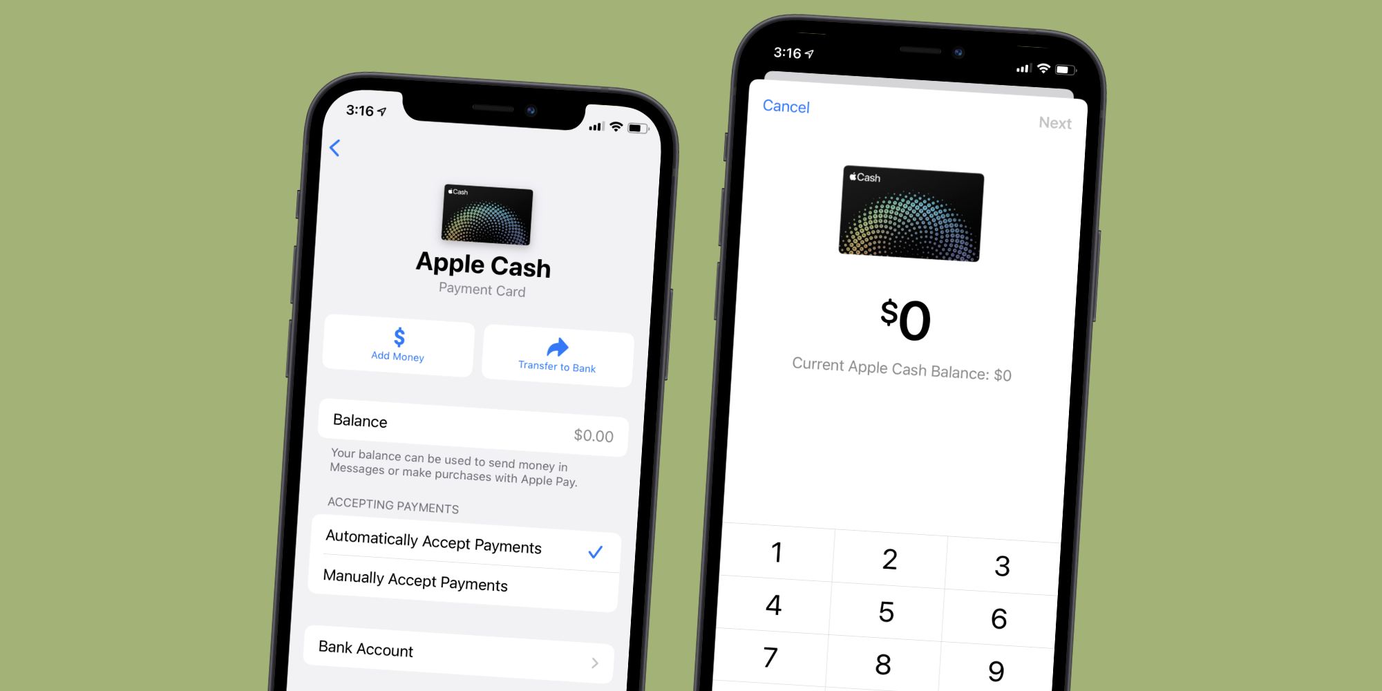 How To Transfer Apple Cash To Your Bank