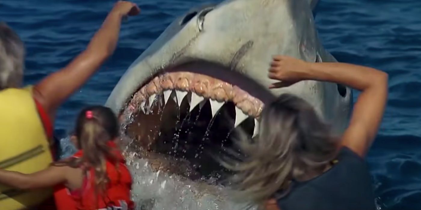 The Letter Steven Spielberg Sent To Jaws: The Revenge’s Director