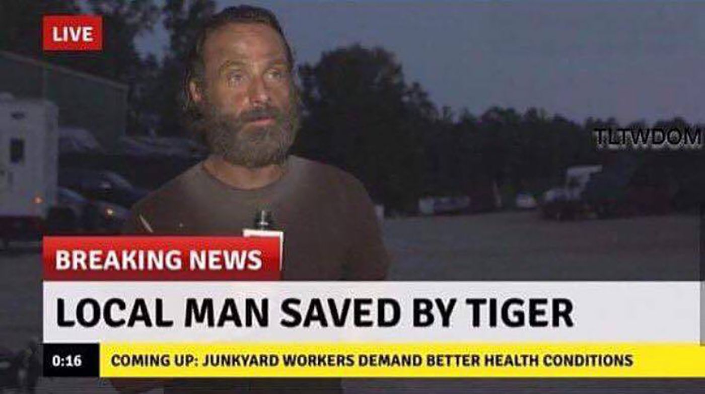 Rick Grimes in a fake newscast about being saved by a tiger.