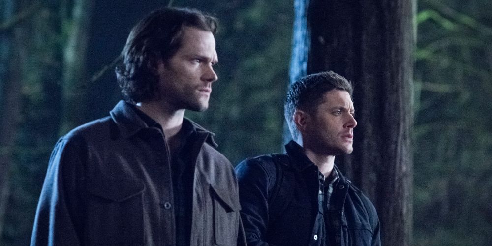Sam and Dean enter the woods at night on Supernatural