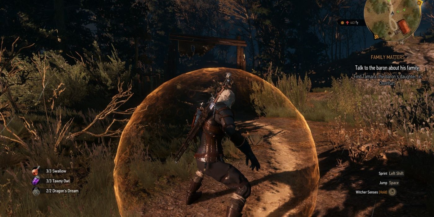 A screenshot from The Witcher 3, showing Geralt surrounded by a magical barrier after casting the Quen sign.