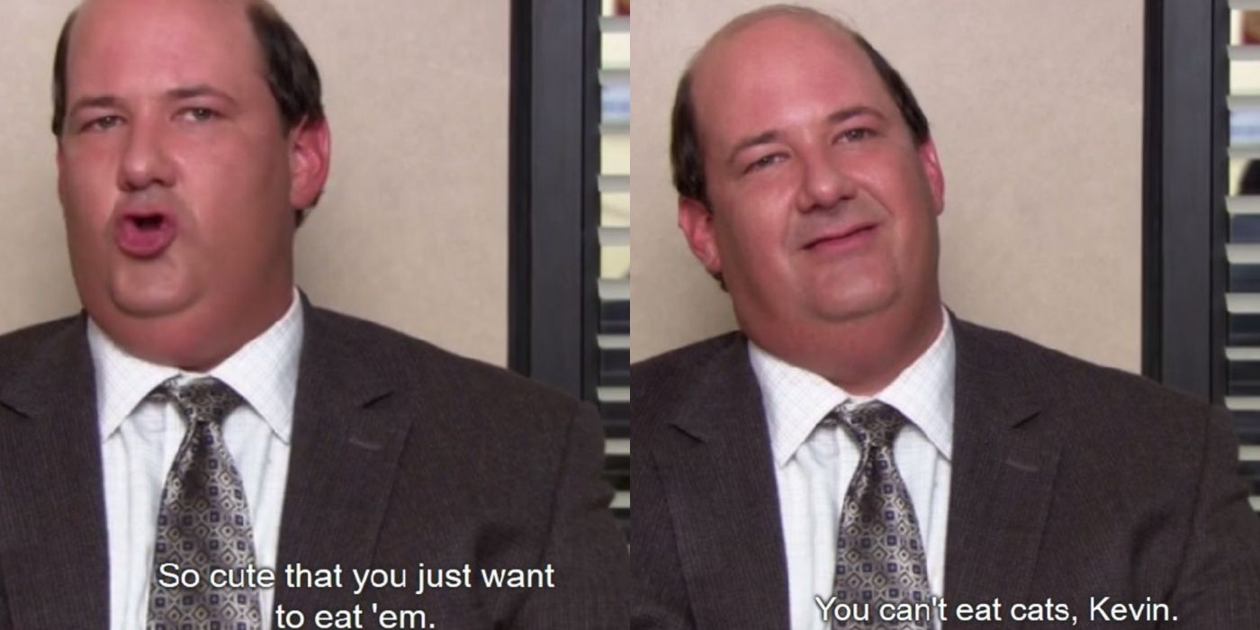 A split image of Kevin talking about Angela's cats on The Office