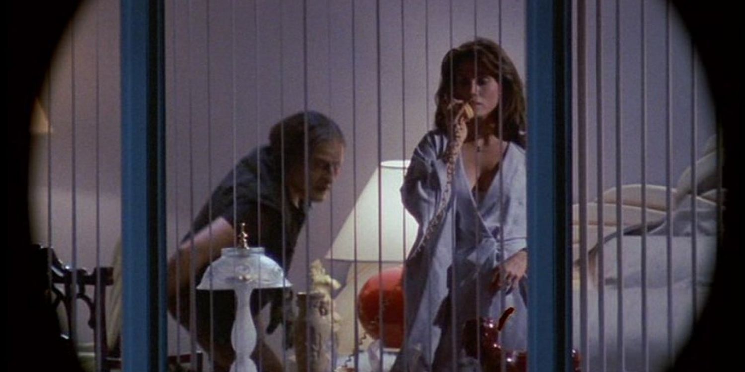 A spy shot from Body Double