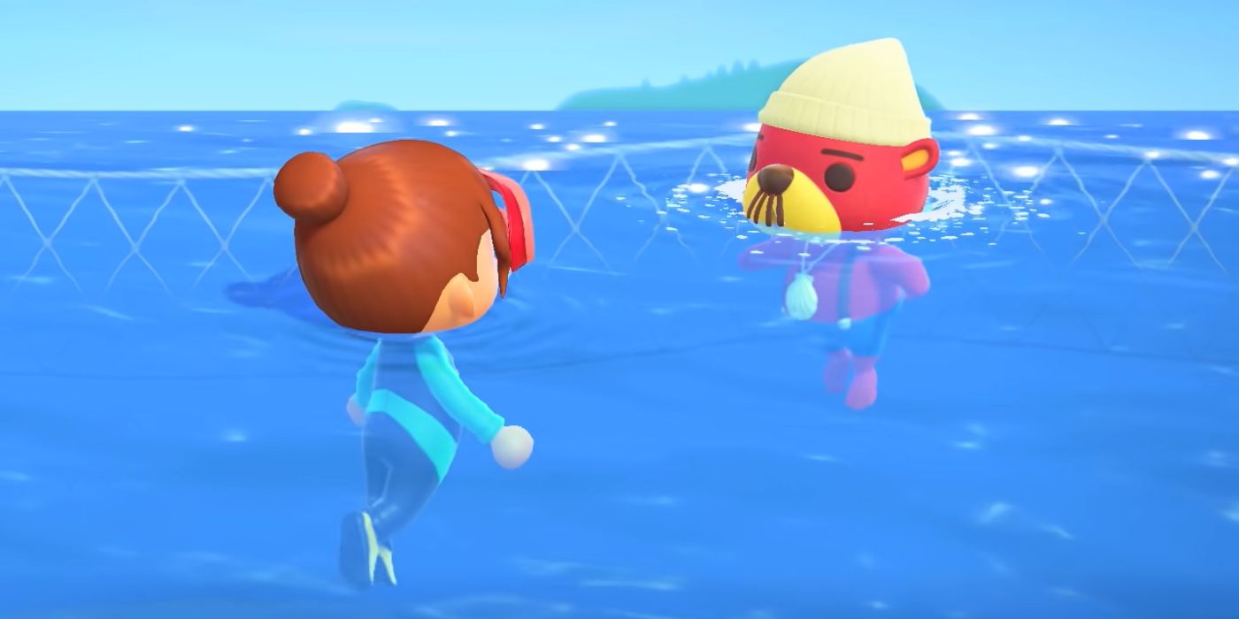 Animal Crossing ACNH Net Diving Why Who Put There