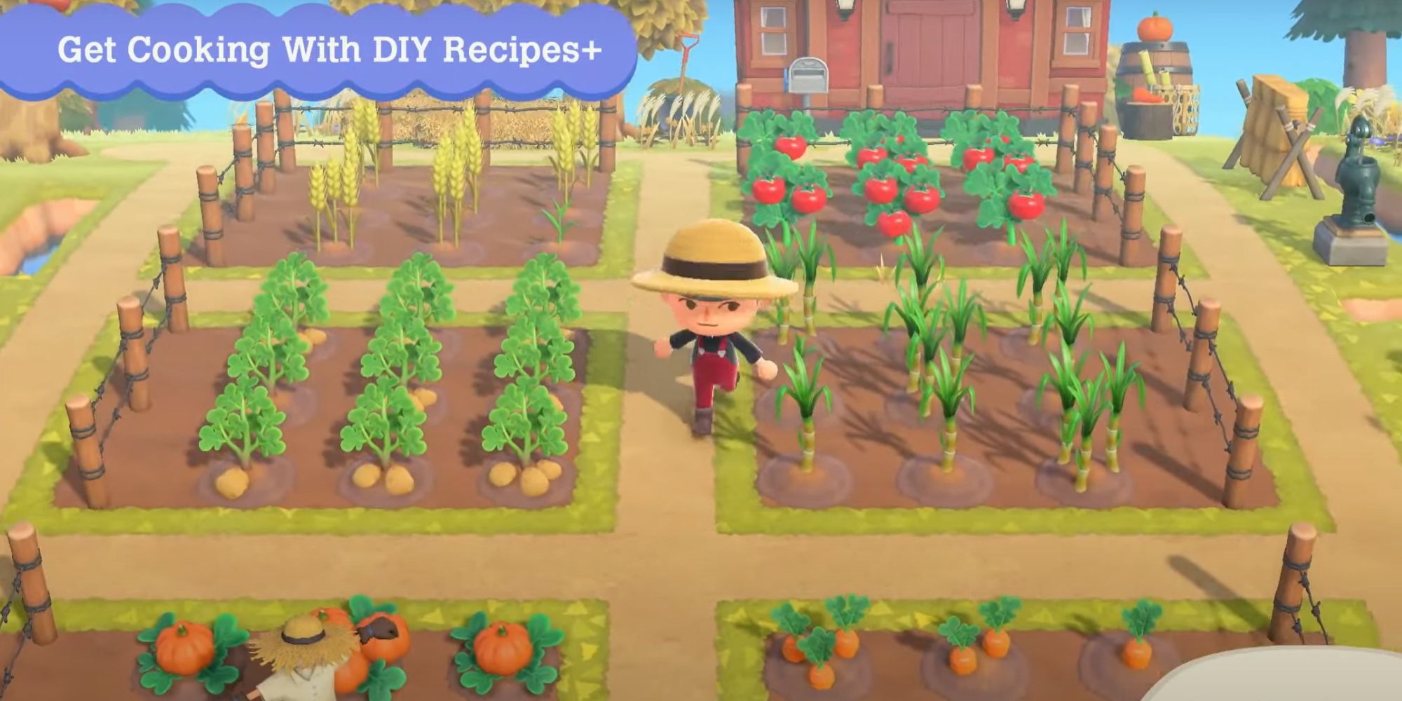 Animal Crossing New Horizons Farming And Cooking Crops