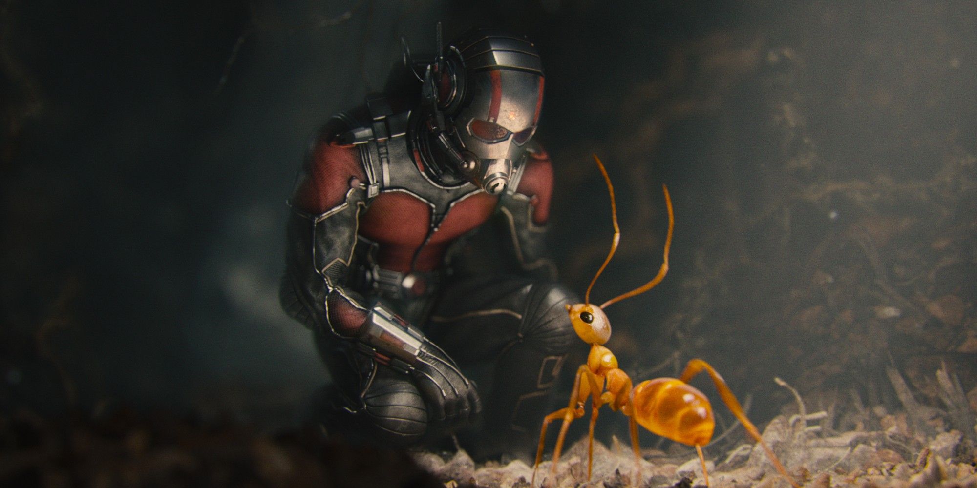 Ant Man with an ant