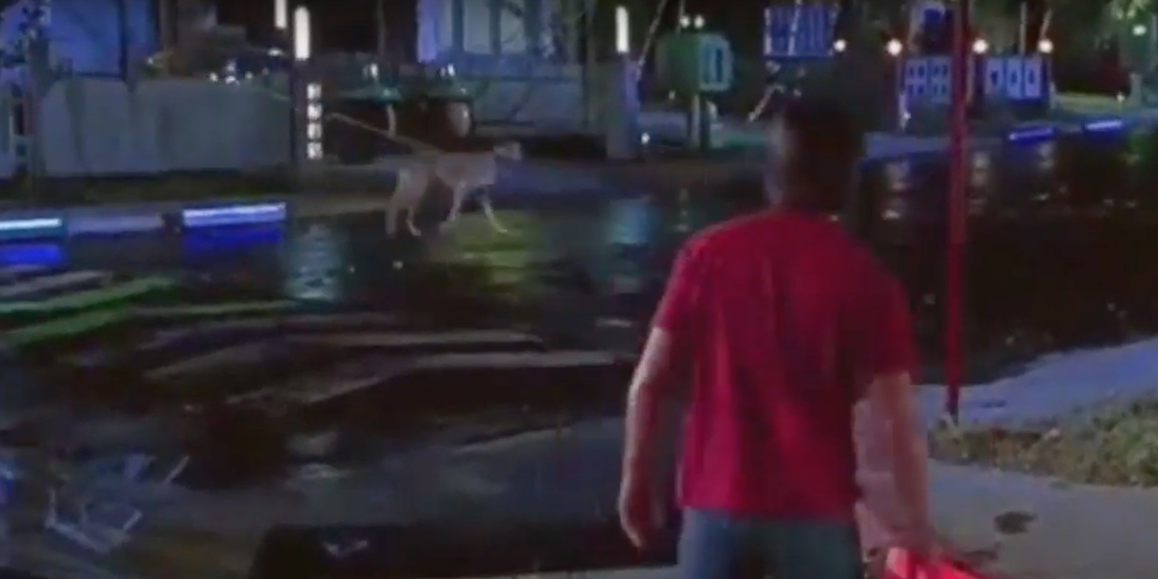 Marty McFly observing an automatic dog walker in Back To The Future Part 2