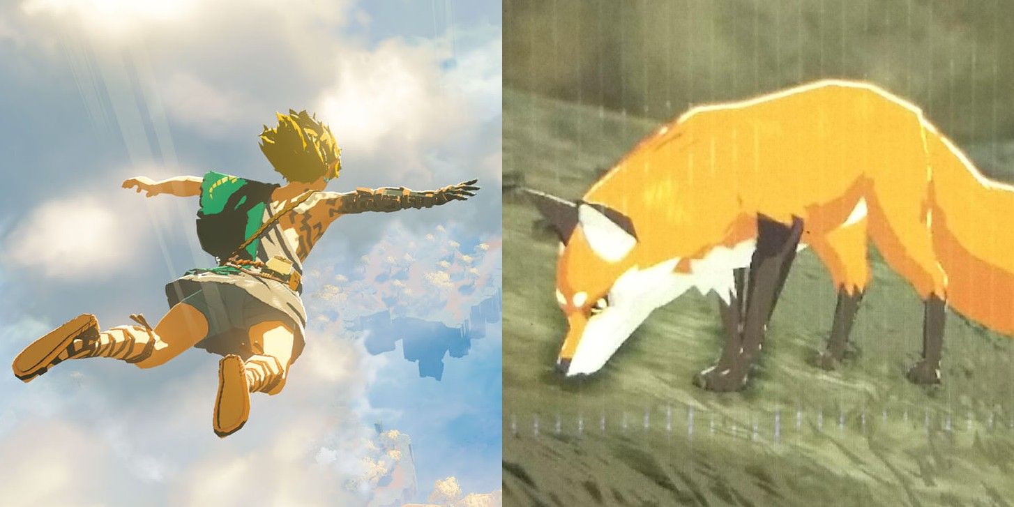 BOTW Player Vows To Kill A Fox Every Day Until BOTW 2 Releases