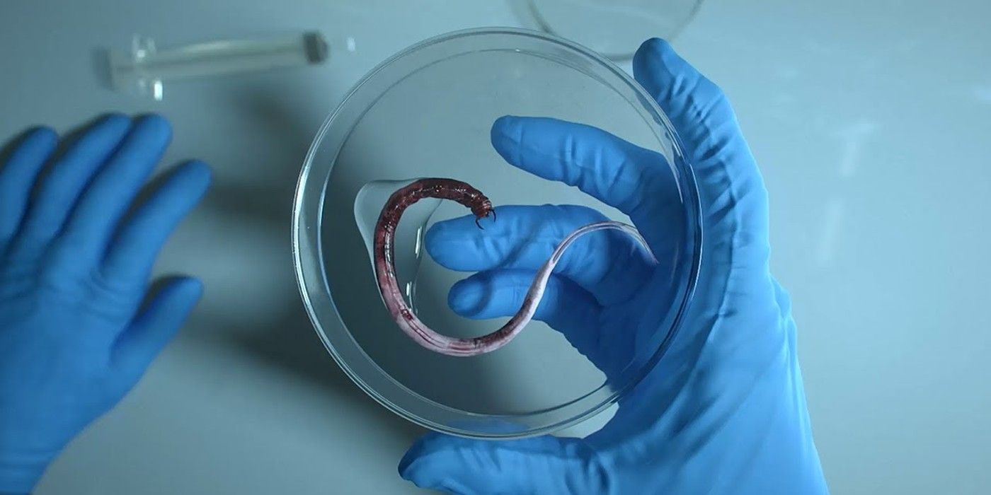 Back 4 Blood Devil Worm In Petri Dish